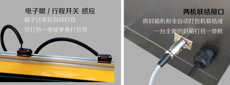 封箱打包一体机 自动折盖胶带封箱pp打包捆扎机 封箱打包流水线